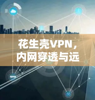 花生壳VPN,内网穿透与远程访问的利器 花生壳VPN,内网穿透与远程访问的利器