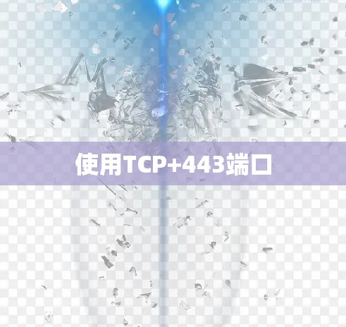 使用TCP+443端口