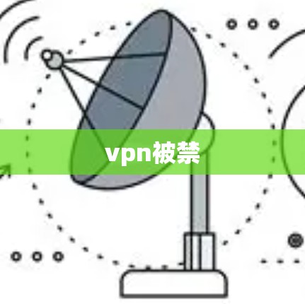 vpn被禁