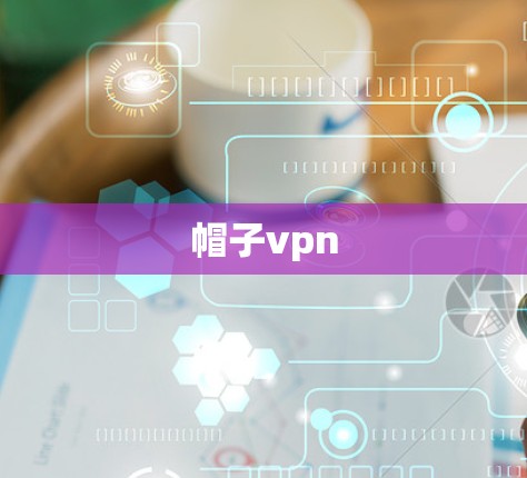 帽子vpn