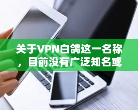 关于VPN白鸽这一名称,目前没有广泛知名或官方认可的VPN服务以此为正式名称。可能是以下情况之一