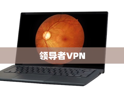 领导者VPN